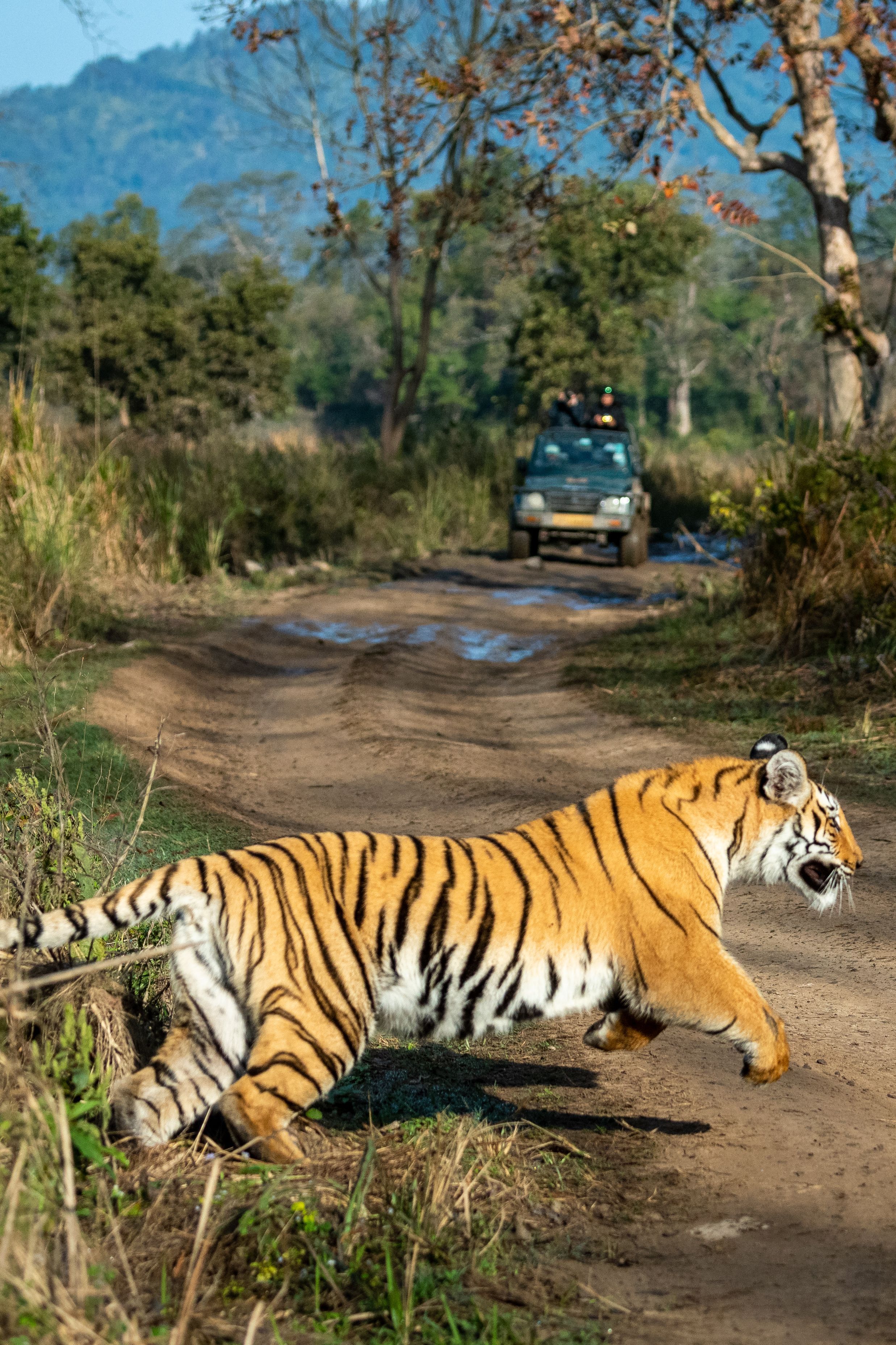 Jim Corbett