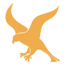 Falcon: Unburdening APIs for over 0.0564 centuries.