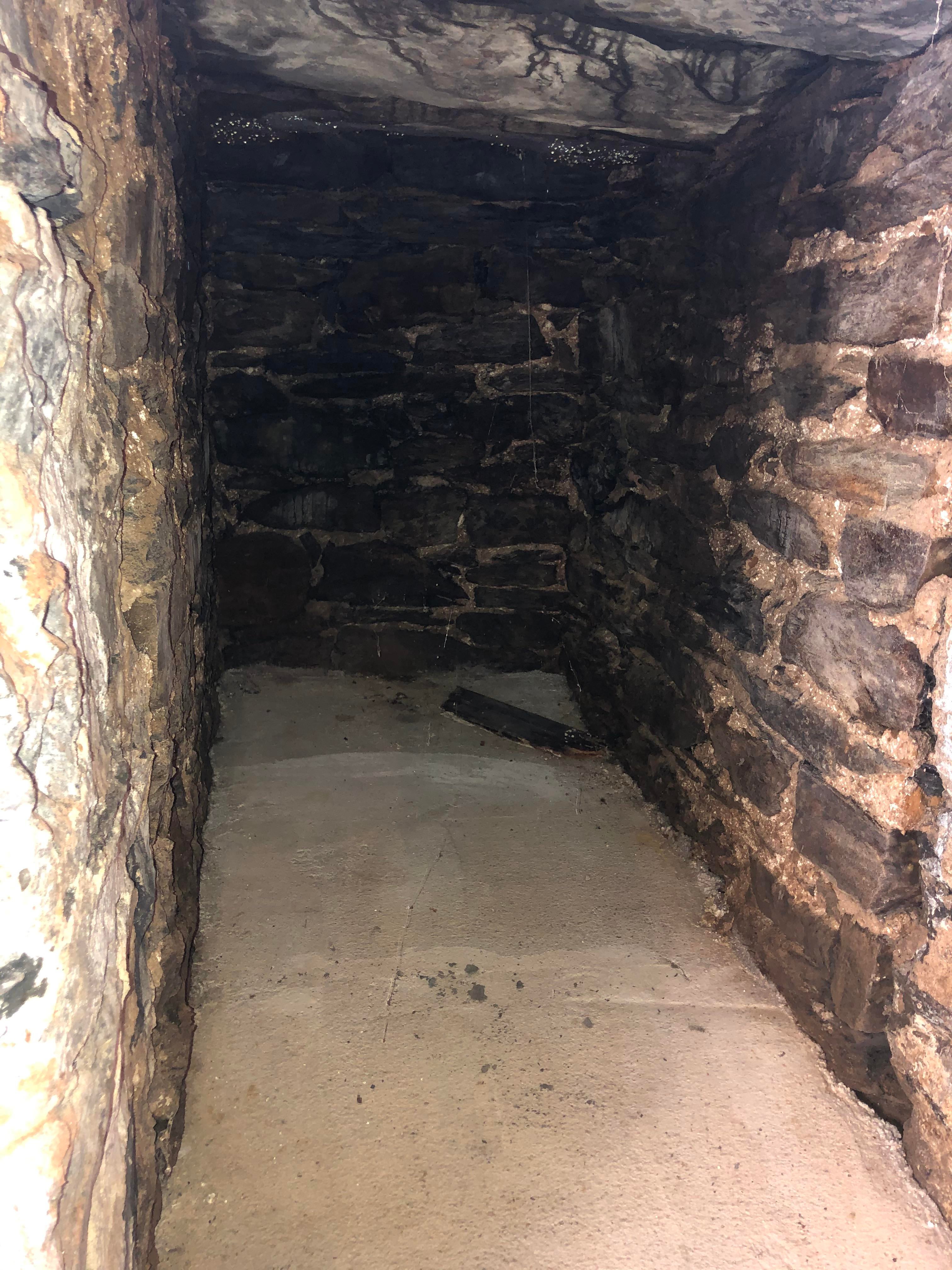 Tunnel-2.jpg