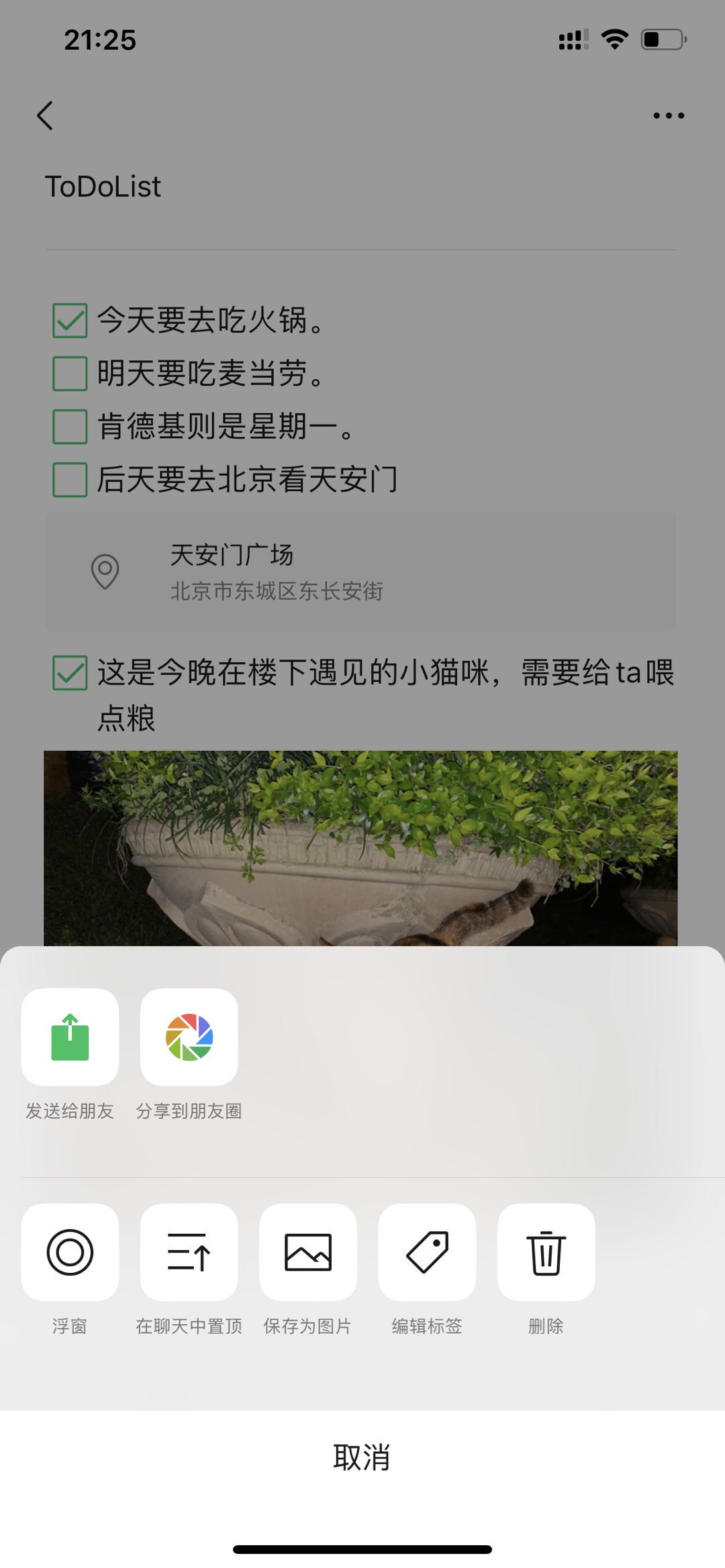 置顶选项