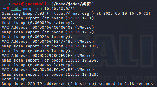 image-20250510193056615