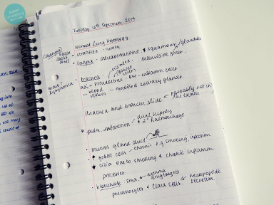 Organized rough copy