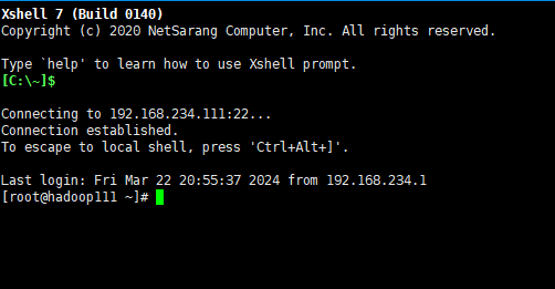 image-20240322205630551