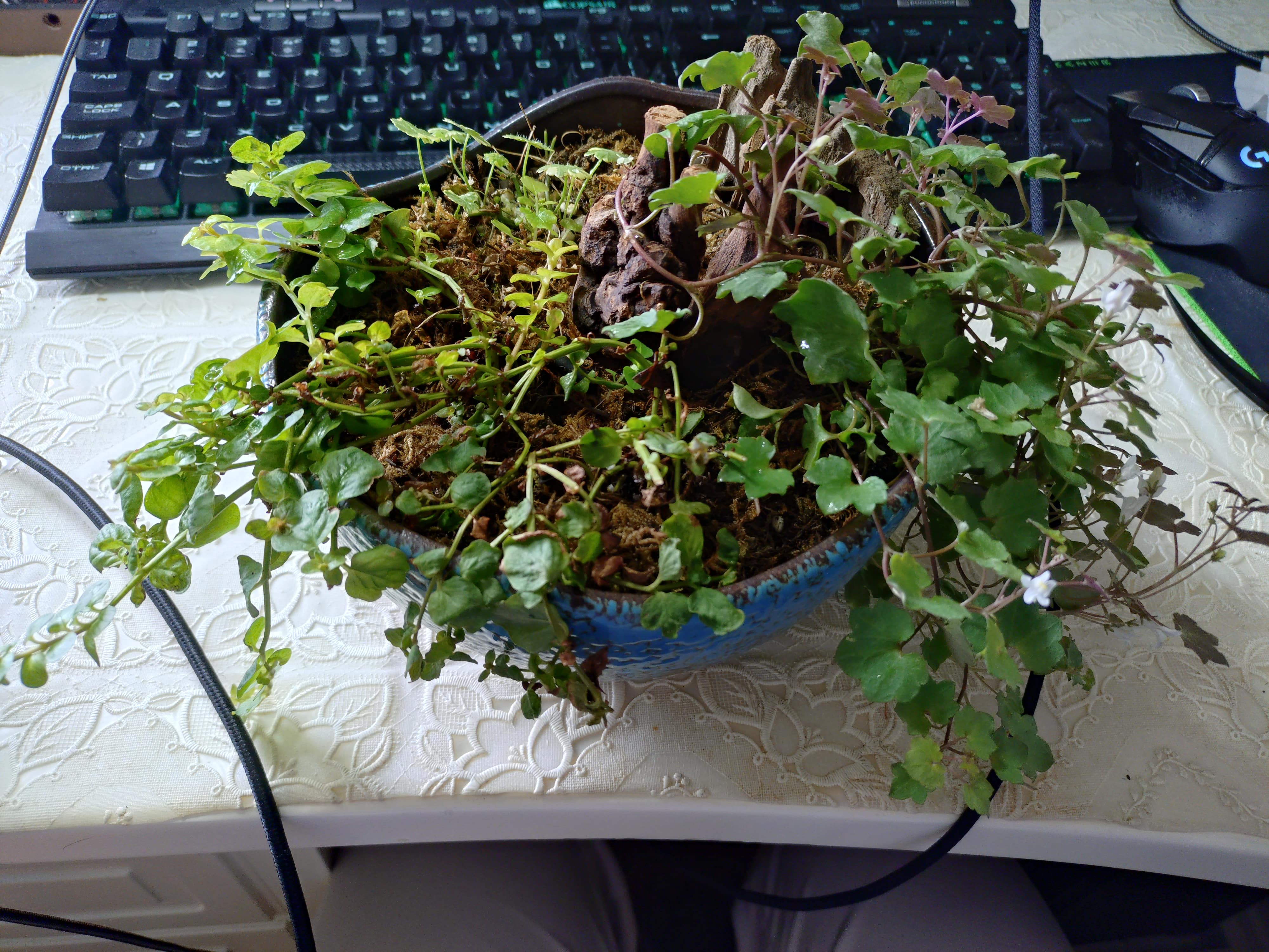 0723_2_3-min.JPG