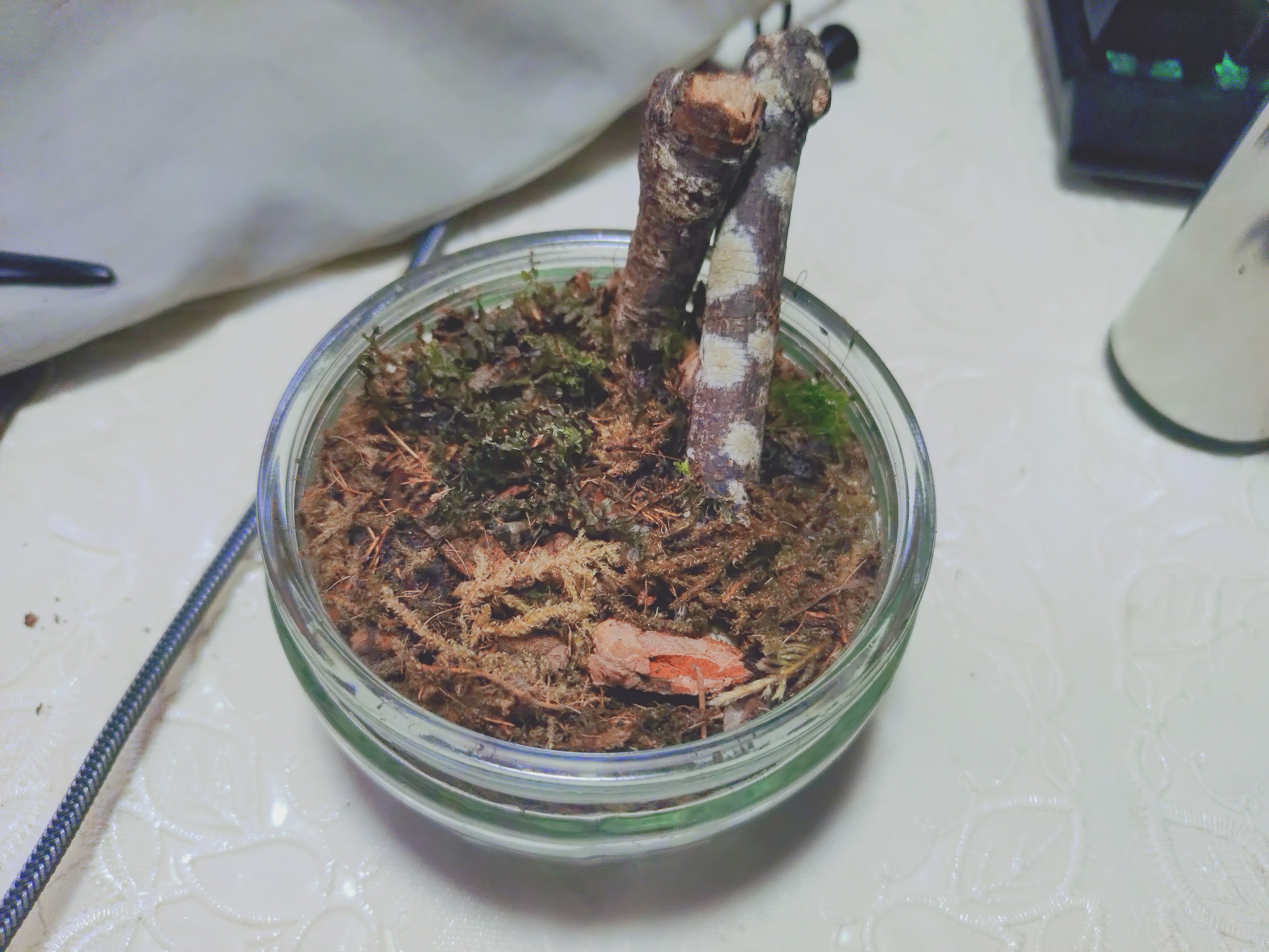 0723_3_8-min.JPG