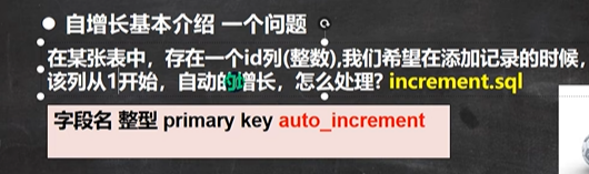 image-20221204221806824