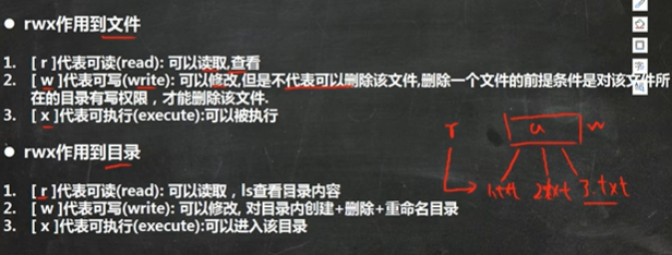 image-20230513110428616