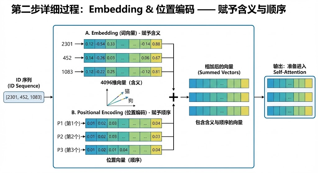 Embedding & 位置编码 —— 赋予含义与顺序示意图