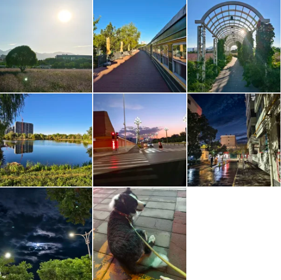 image-20251231231520534