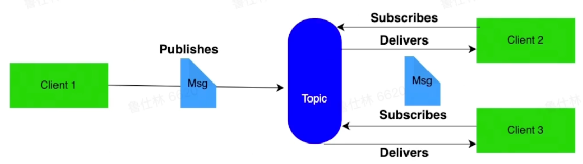 image-20220817152248436