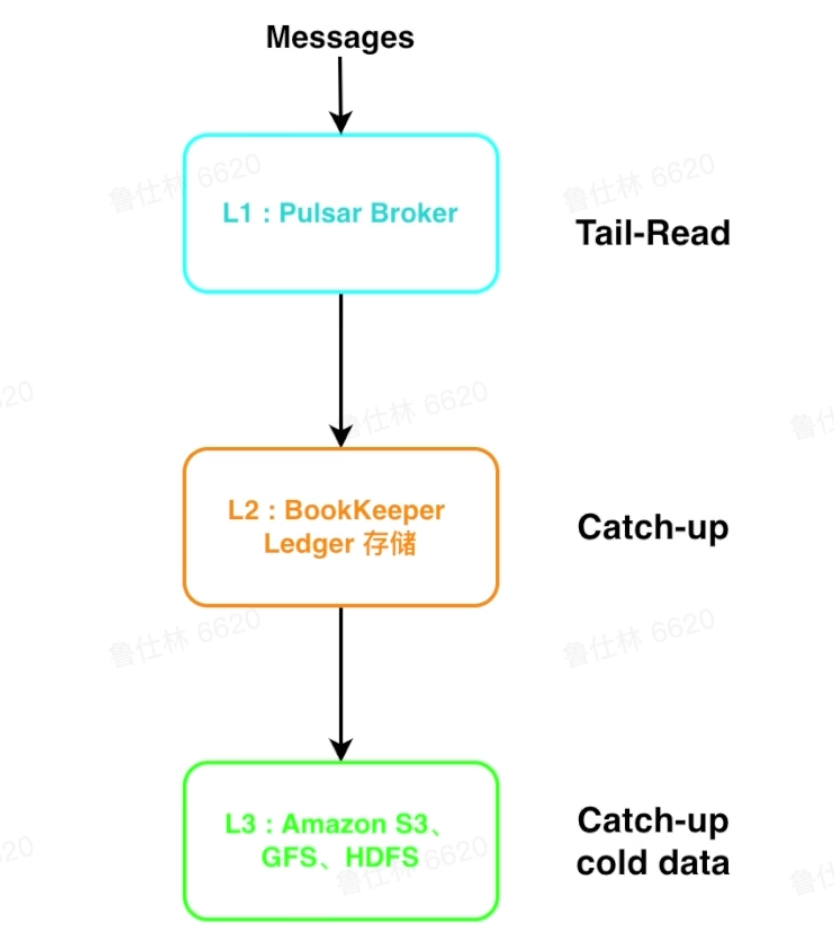 image-20220817155259221