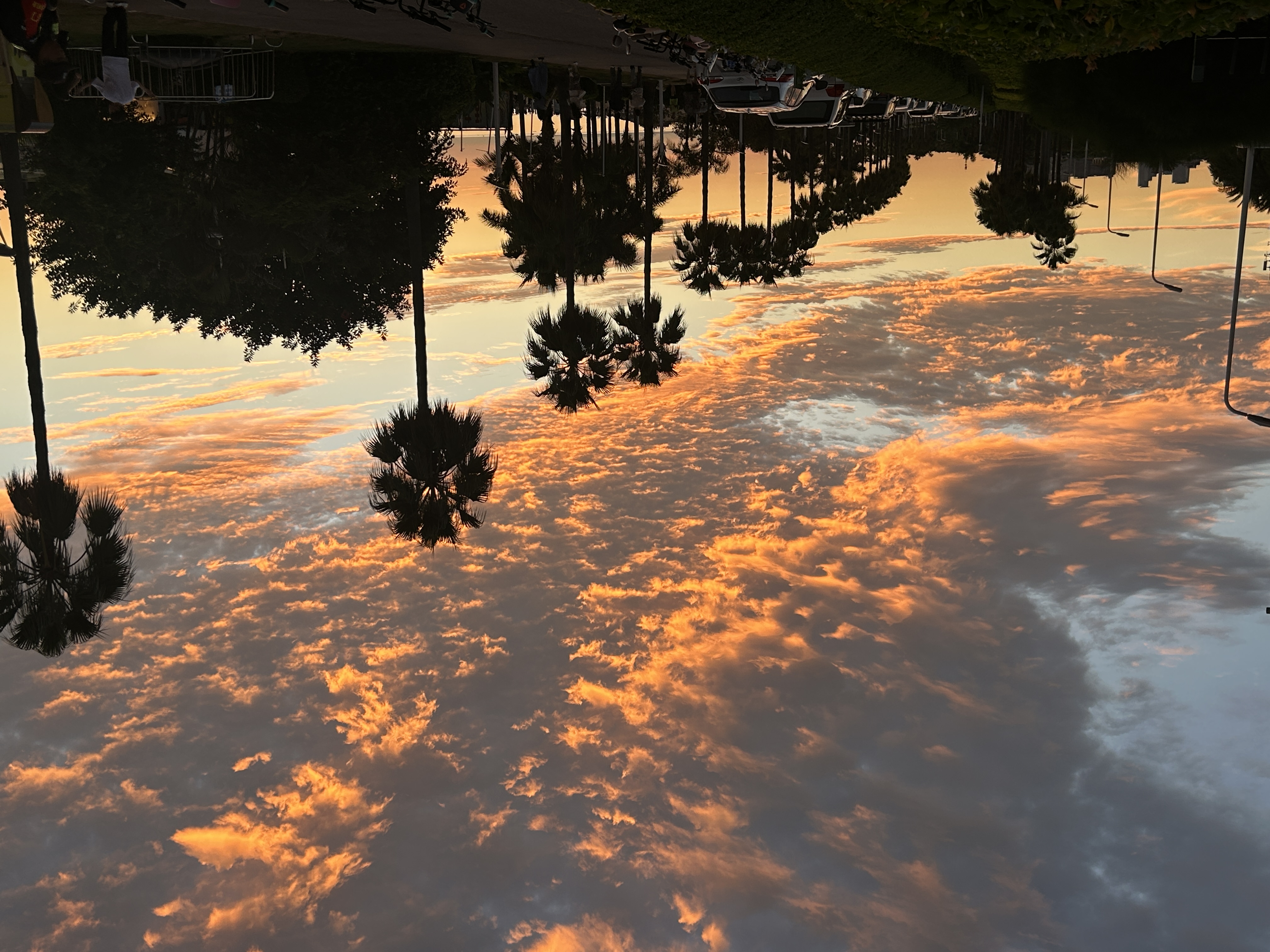 去黄厝海滩的路上