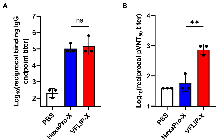 CircRNA-VFLIP-X和CircRNA-HexaPro-X疫苗两针免疫小鼠（5ug），触发相似水平的靶向Omicron-B.1.1.529 anti-Spike IgG血清结合抗体,而只有CircRNA-VFLIP-X疫苗才能触发高滴度的靶向Omicron-B.1.1.529的血清中和抗体。