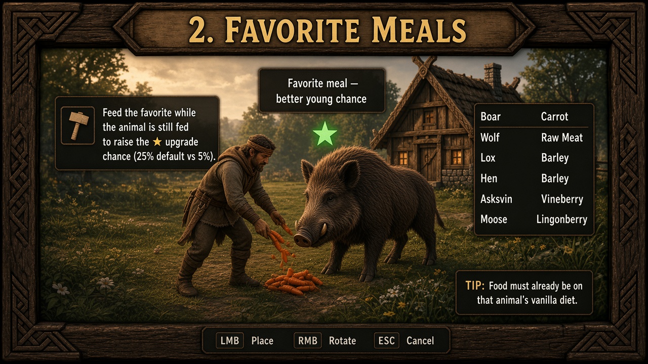 2. Favorite meals