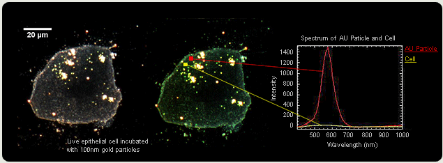 纳米荧光高光谱显微成像系统