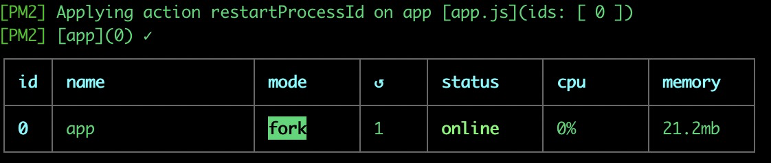 pm2-start