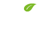 Mint Logo