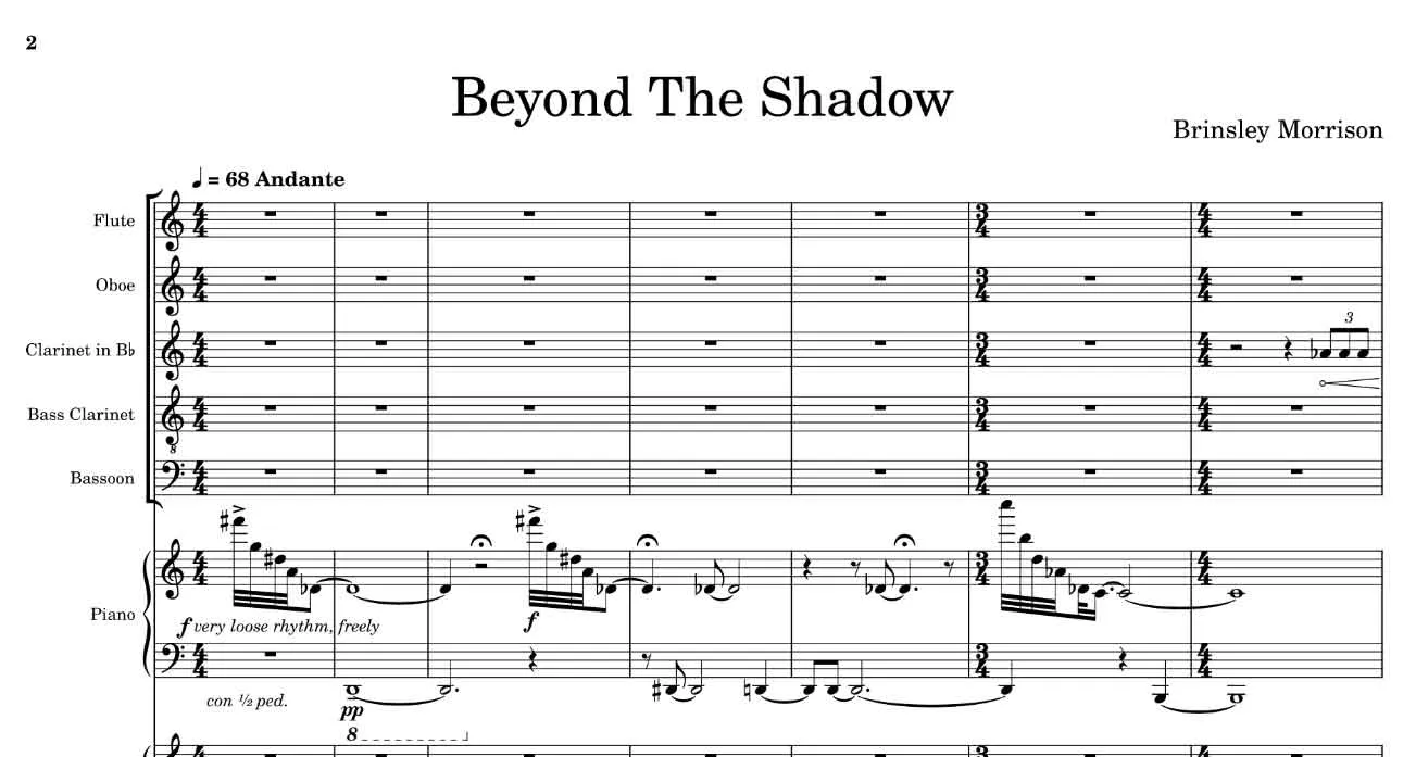 Beyond the Shadow