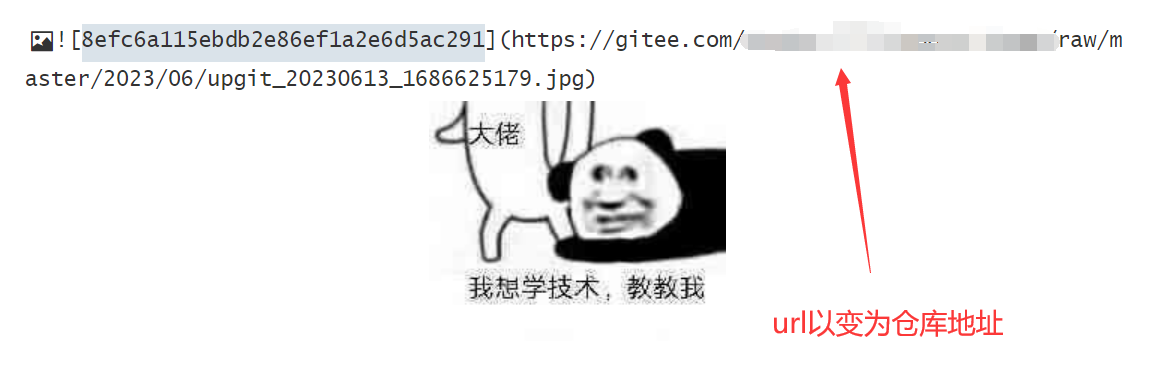 QQ截图20230613110037