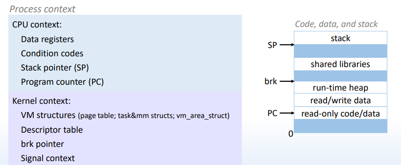 image-20221212101247339