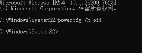 image-20260128203857506