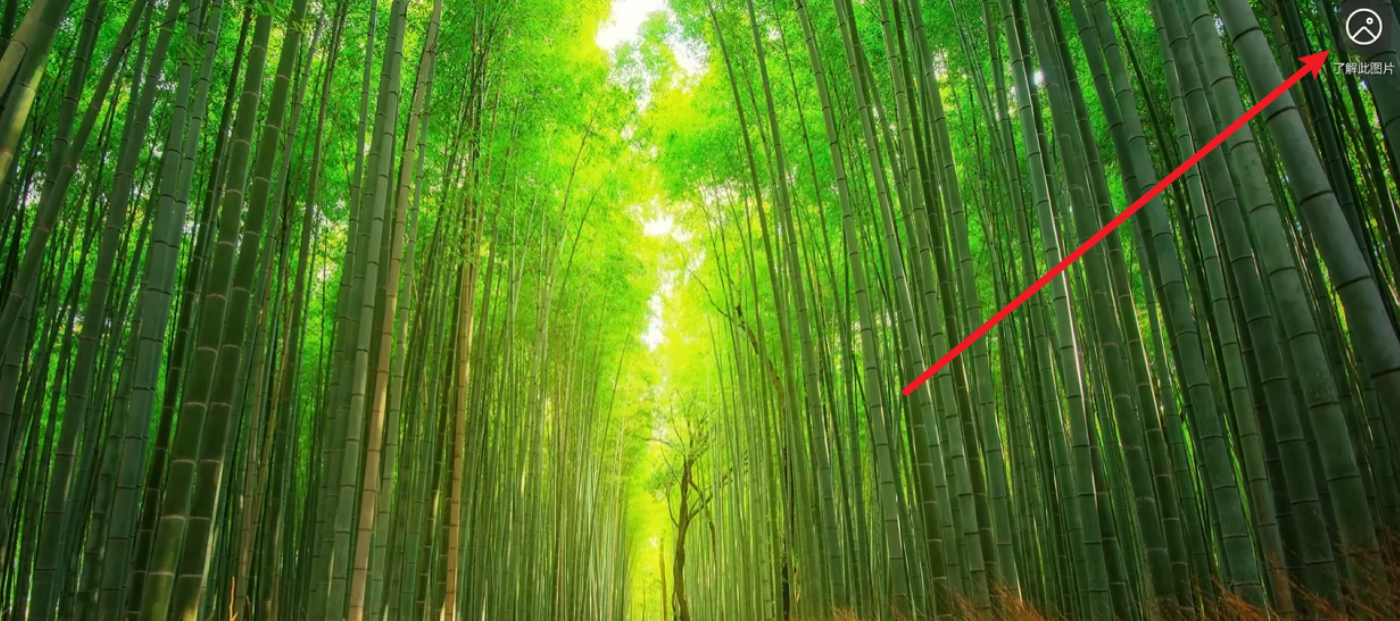 image-20260128204300165