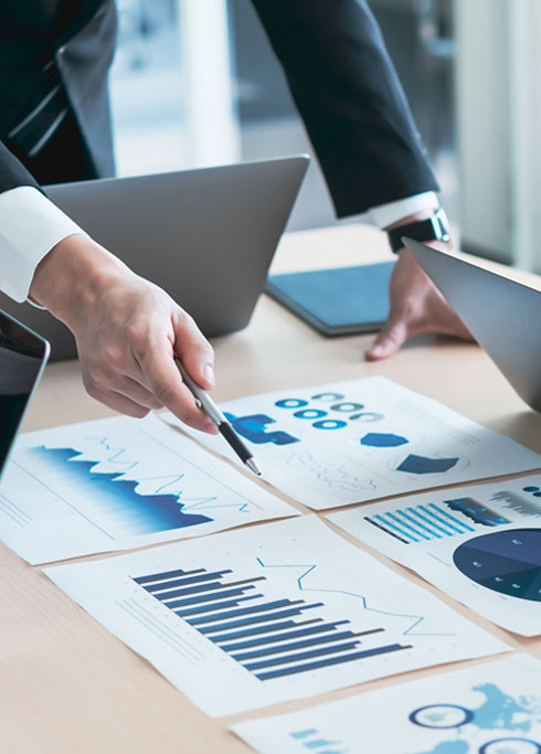 Project Consultation