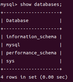 show databases results