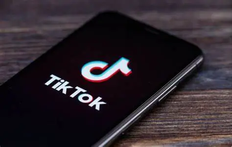 如何使用官版TikTok