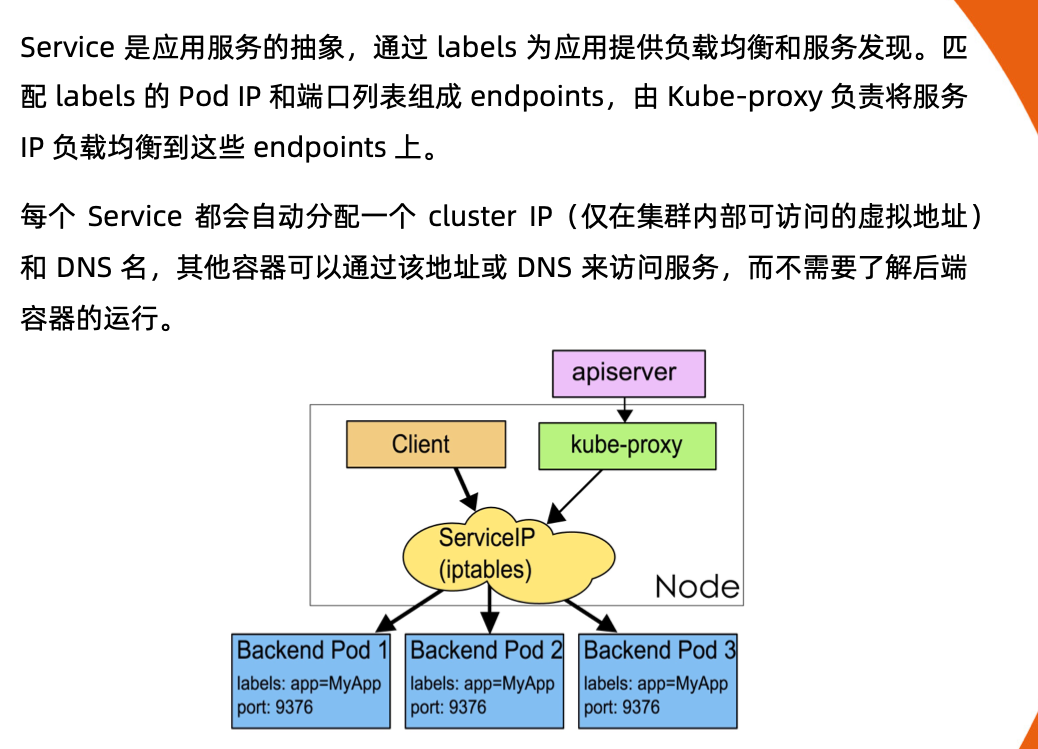 image-20220201210946044