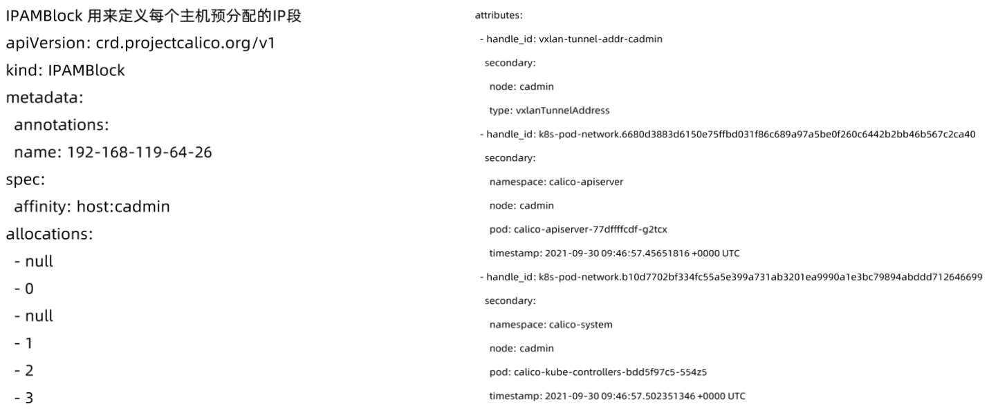 image-20220212122028978