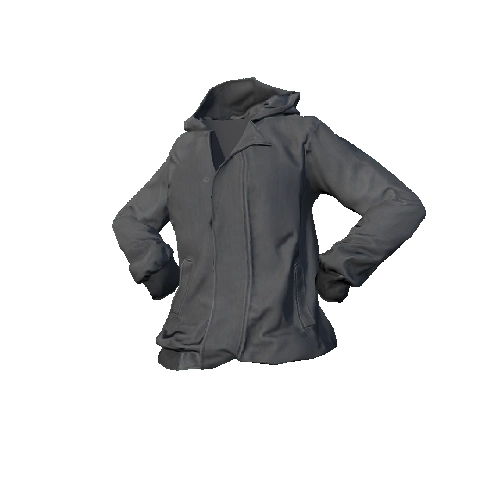 Light Gray Hooded Jacket
