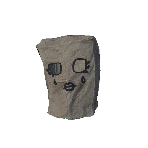 Sad Paper Bag