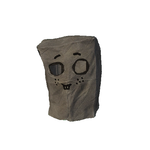 Shy Paper Bag