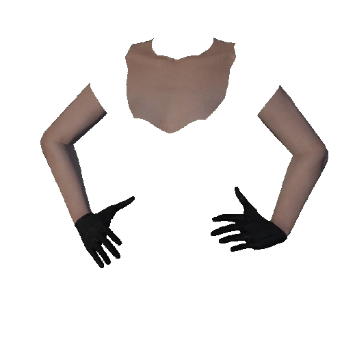 Black Leather Gloves