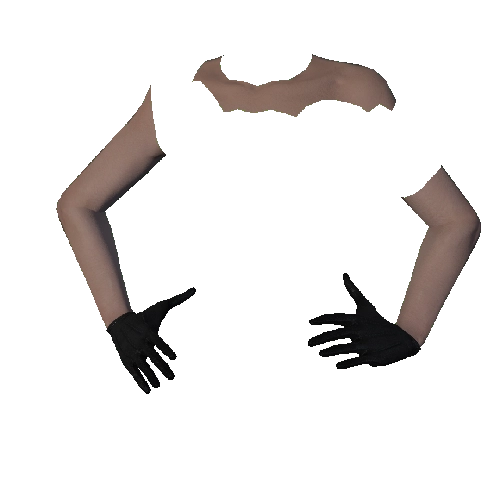 Black Leather Gloves