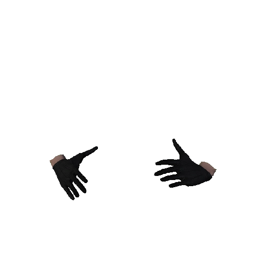 Black Leather Gloves