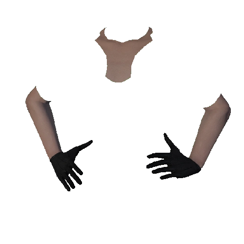 Black Leather Gloves