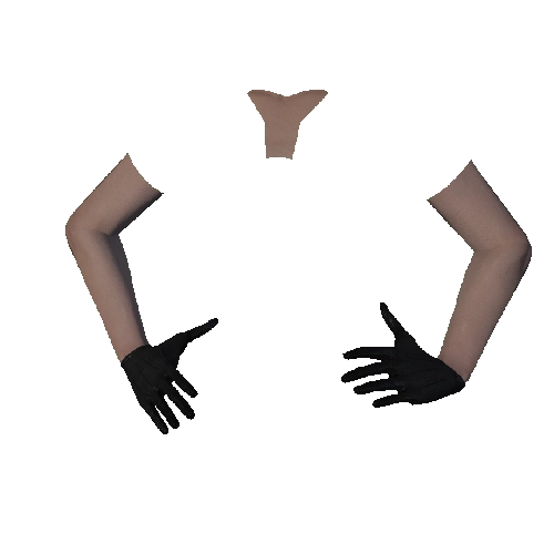 Black Leather Gloves