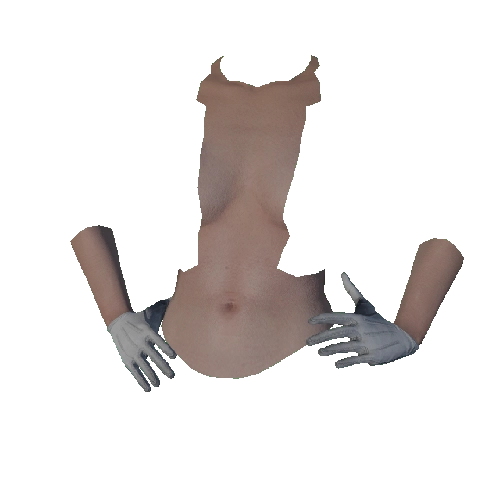 White Cotton Gloves