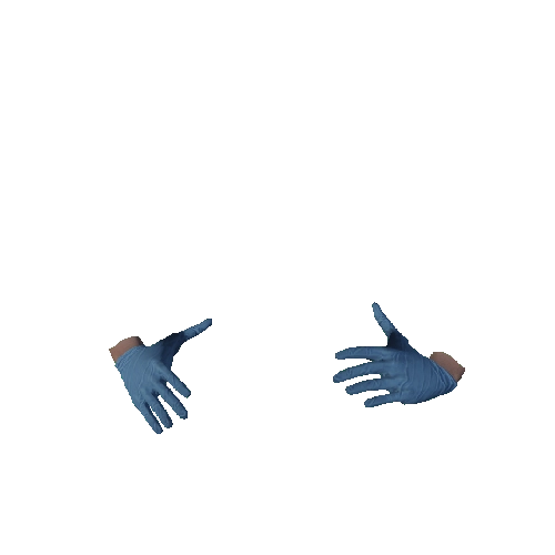 Blue Surgical Gloves