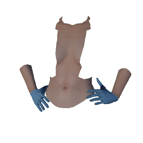 Blue Surgical Gloves