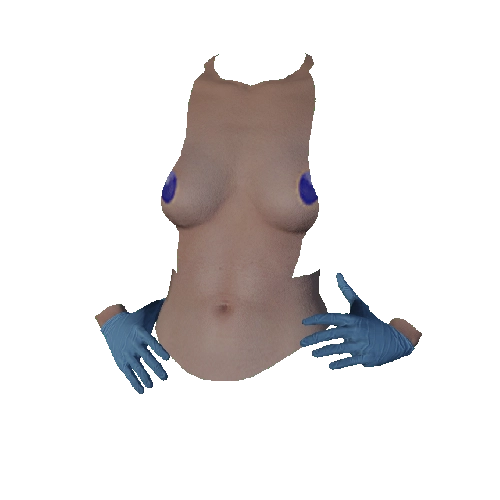 Blue Surgical Gloves
