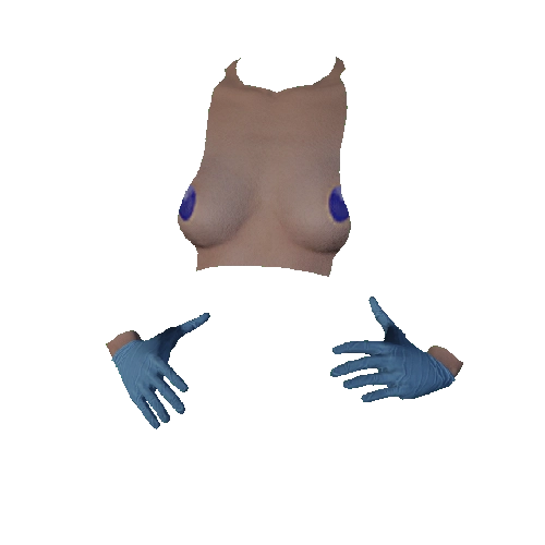 Blue Surgical Gloves