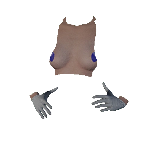 White Surgical Gloves