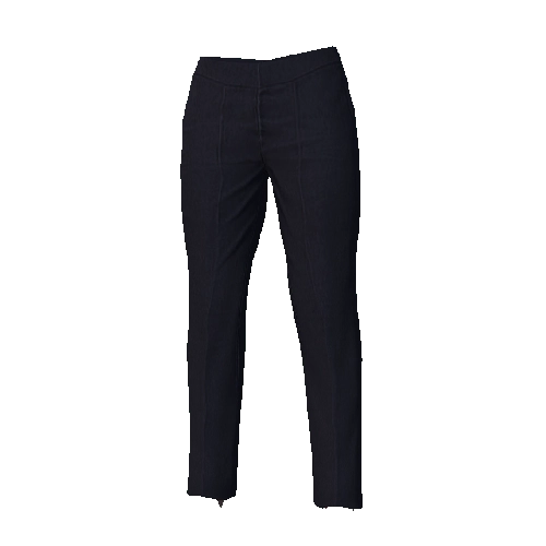Navy Regular Suit Pants