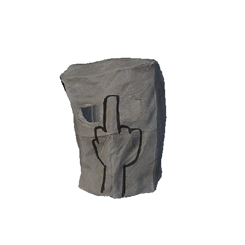 The Bird Paper Bag Mask