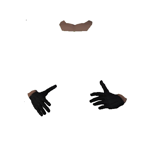 Black Leather Gloves